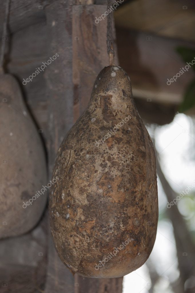 WINESKIN SCARICARE