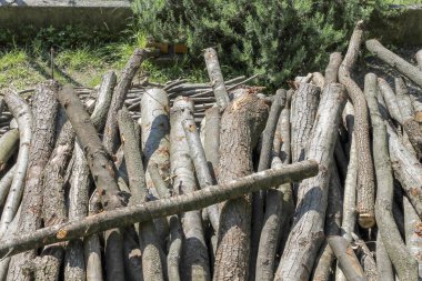 Kış için yakacak odun