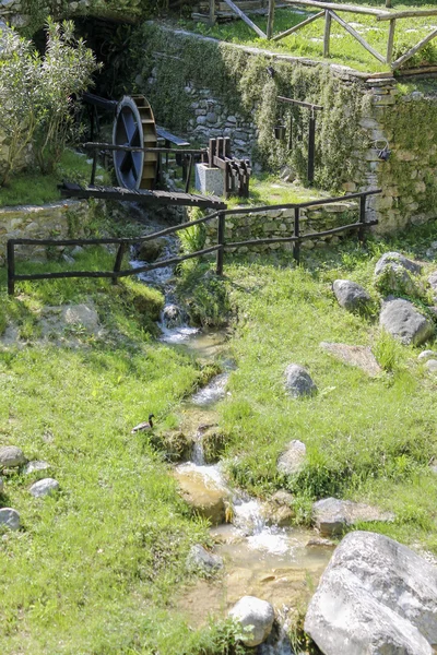 Stream in the woods — Stock Photo, Image