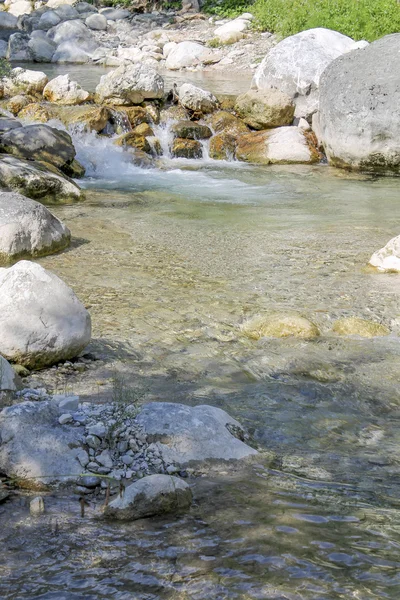 Cours d'eau dans les bois — Photo