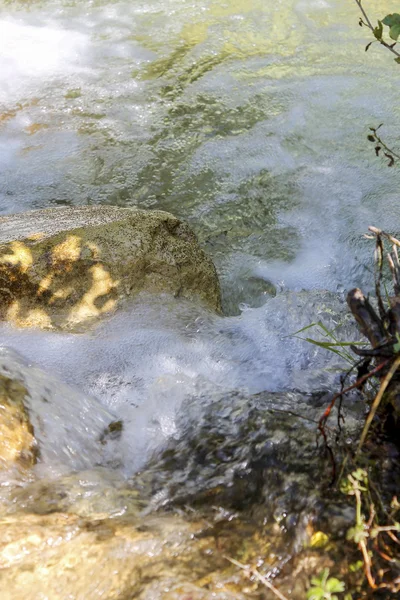 Stream in the woods — Stock Photo, Image