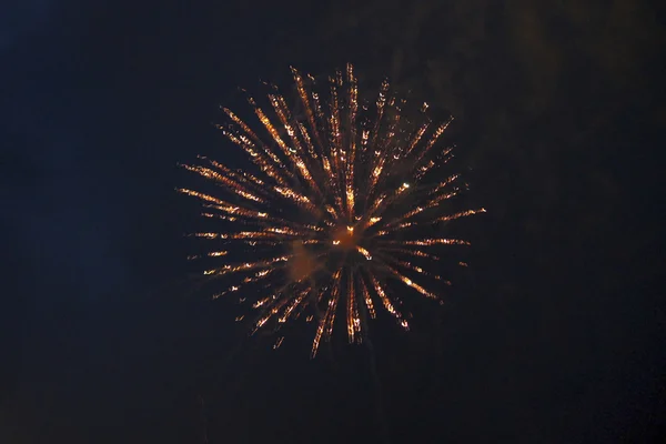 Feuerwerk — Stockfoto