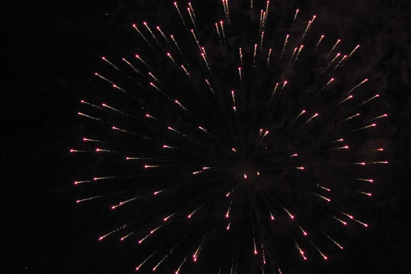 Fuegos artificiales —  Fotos de Stock