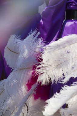 karnaval için renkli tüyler