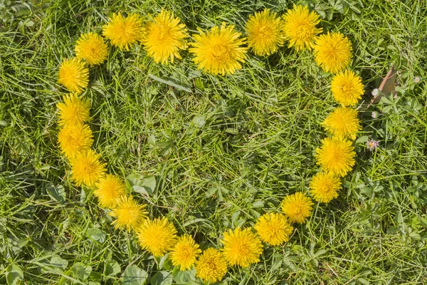 Сердце с одуванчиком на траве — стоковое фото
