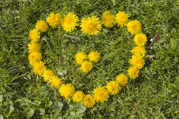 タンポポの芝生の上での心 — ストック写真