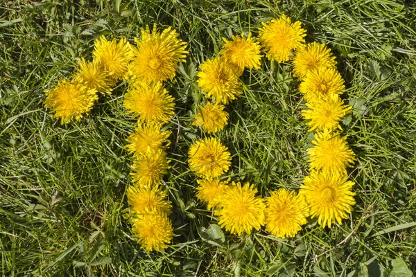 Nummer tien getekend met paardebloem op het gazon — Stockfoto