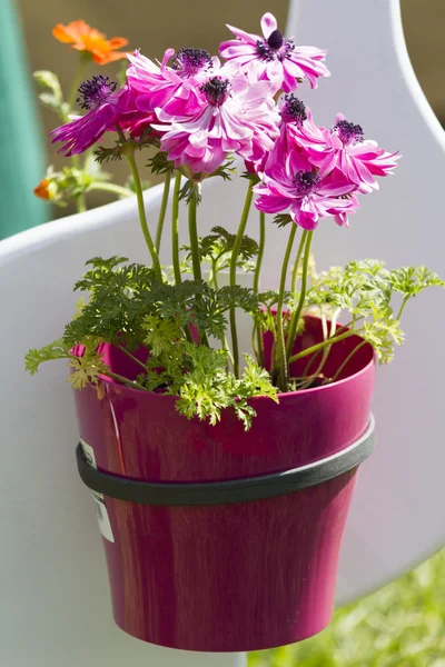Vase of flowers — Stock Photo, Image