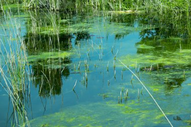 Nehir manzara yansıması