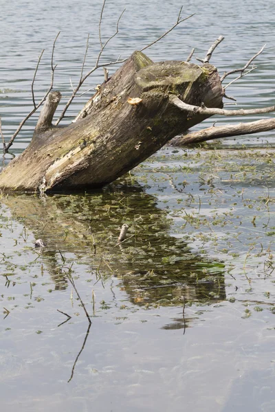 Landschaftssee — Stockfoto