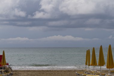 Martı fotoğrafçısına poz