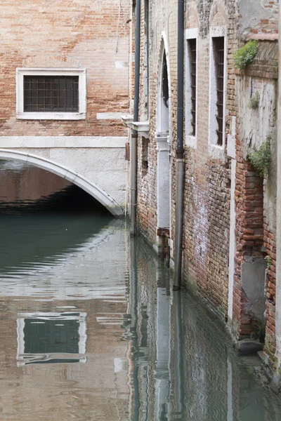 Reflections on the river — Stock Photo, Image