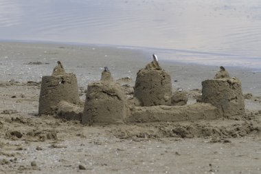 Güverte sandalyeleri sahilde.