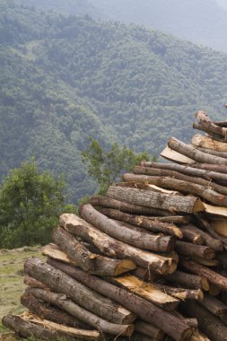 Dağlarda odun yığını
