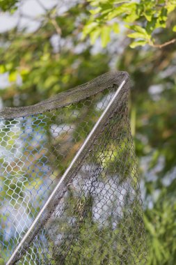Nehri üzerinde net balıkçı