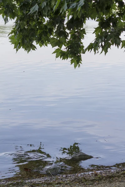 Lago de paisaje —  Fotos de Stock