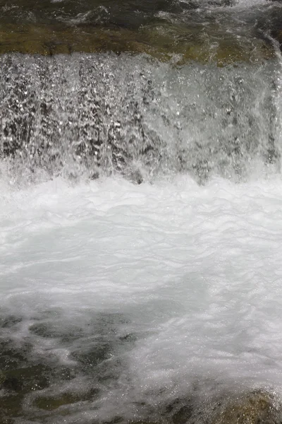 Stream in the forest — Stock Photo, Image