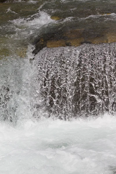 Stream in the forest — Stock Photo, Image