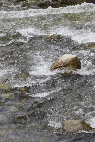 숲 속으로 흐르는 물 — 스톡 사진
