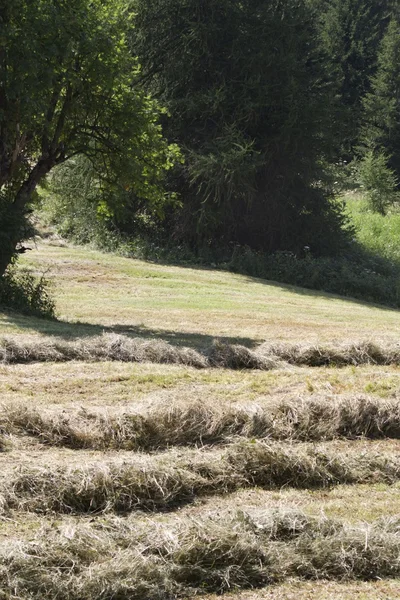 Hö på landet — Stockfoto