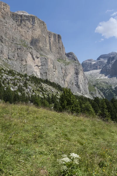 Manzara kayalık dağ