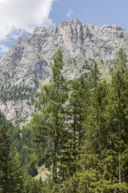 Manzara kayalık dağ