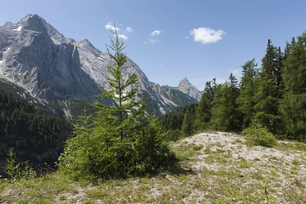 Paisaje de montaña — Foto de Stock