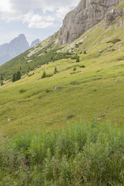 Mountain landscape — Stock Photo, Image