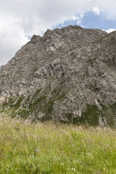 Landscape rocky mountain — Stock Photo, Image