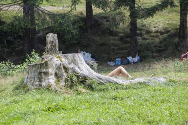 Göl kenarında piknik