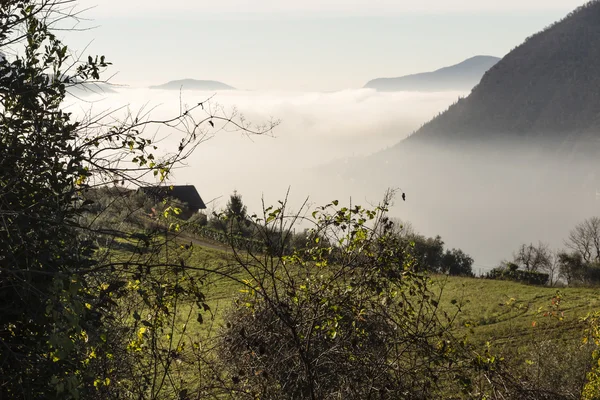 Nebbia sul lago — Foto Stock