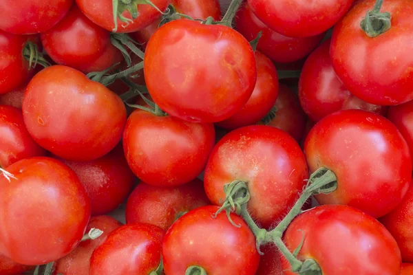 Pazardaki domatesler — Stok fotoğraf