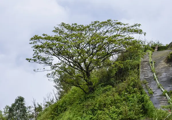 Paesaggio montano con scala — Foto Stock