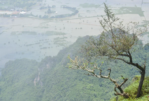 Pianura paesaggio allagato dopo la pioggia — Foto Stock