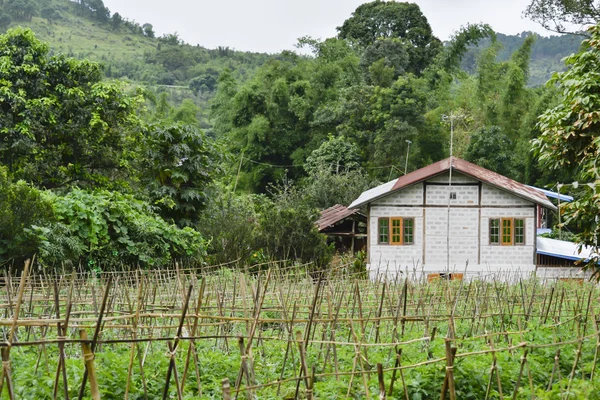 Casa en la pradera —  Fotos de Stock