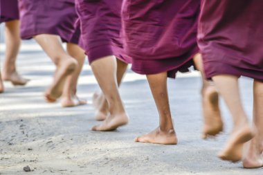 İnsanlar yolda yürüyor.