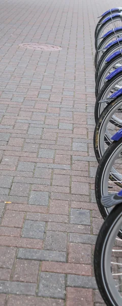 Fahrradreihe in der Stadt — Stockfoto