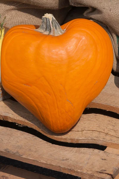 Heart pumpkin in autumn — Stock Photo, Image