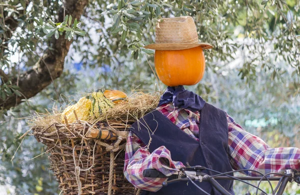 Διακοσμητικά κολοκύθες ως άνθρωπος στη μοτοσικλέτα — Φωτογραφία Αρχείου