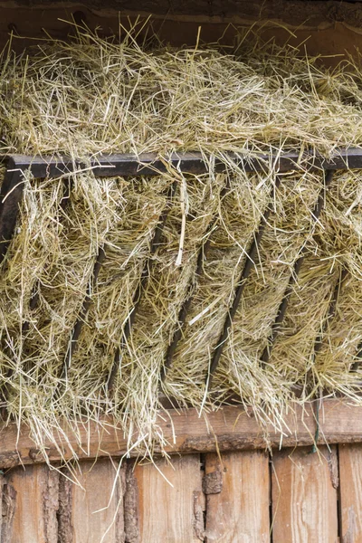 Hay in the manger — Stock Photo, Image