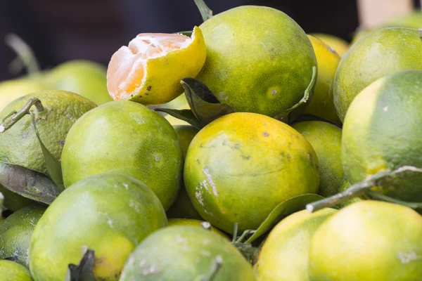 Limon ve narenciye — Stok fotoğraf