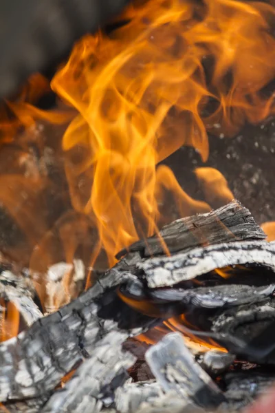 Roasted chestnuts on fire — Stock Photo, Image