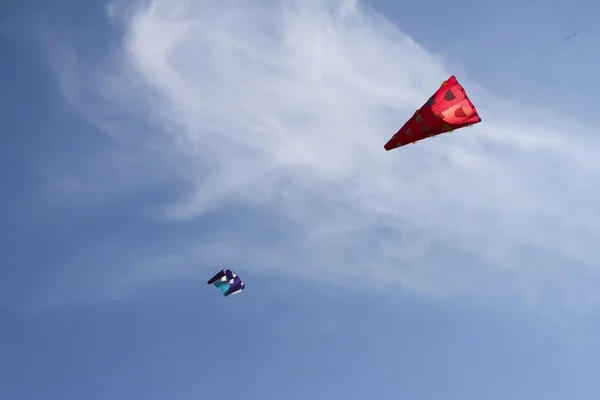 Sky full of kites — Stock Photo, Image