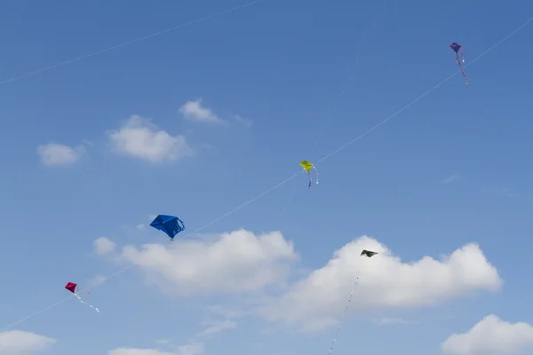 Céu cheio de papagaios — Fotografia de Stock