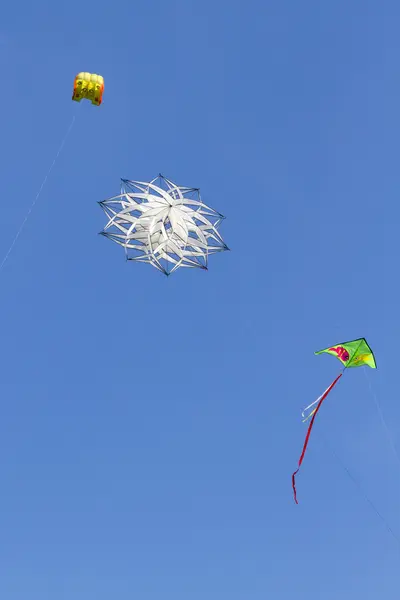 Sky full of kites — Stock Photo, Image