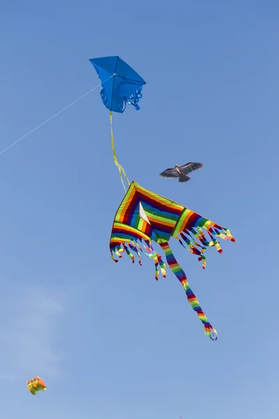 凧の空 — ストック写真