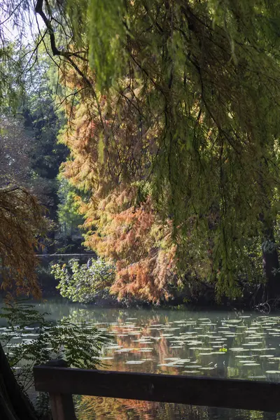 Reflexion über Teich im Herbst — Stockfoto