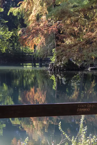 Reflexion über Teich im Herbst — Stockfoto