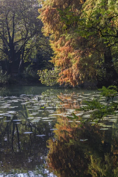 Reflexión sobre el estanque en otoño —  Fotos de Stock