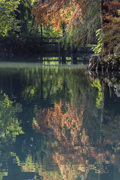 Riflessione sul laghetto in autunno — Foto Stock